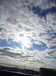 1735527721-s-1.jpg
